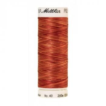 Нить для вышивания 4820-9934 METTLER POLY SHEEN MULTI 