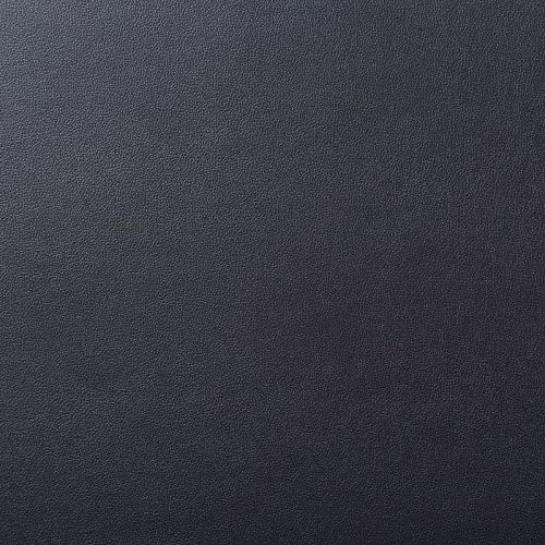 Экокожа 070-01666 черный однотонный